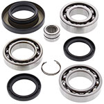 ALL BALLS DIFFERENTIAL BEARING & SEAL KIT