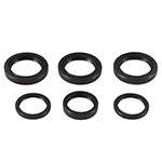 ALL BALLS DIFFERENTIAL SEAL KIT