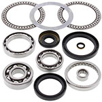 ALL BALLS DIFFERENTIAL BEARING & SEAL KIT