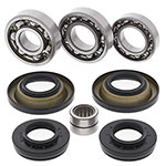 ALL BALLS DIFFERENTIAL BEARING & SEAL KIT