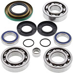 ALL BALLS DIFFERENTIAL BEARING & SEAL KIT