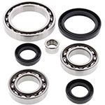 ALL BALLS DIFFERENTIAL BEARING AND SEAL KIT