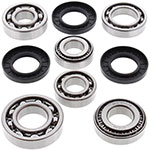 ALL BALLS DIFFERENTIAL BEARING AND SEAL KIT