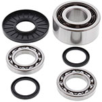 ALL BALLS DIFFERENTIAL BEARING AND SEAL KIT