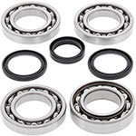 ALL BALLS DIFFERENTIAL BEARING AND SEAL KIT