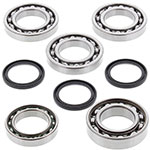 ALL BALLS DIFFERENTIAL BEARING AND SEAL KIT