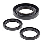 ALL BALLS DIFFERENTIAL SEAL KIT
