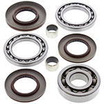 ALL BALLS DIFFERENTIAL BEARING & SEAL KIT
