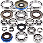 ALL BALLS DIFFERENTIAL BEARING & SEAL KIT