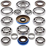 ALL BALLS DIFFERENTIAL BEARING & SEAL KIT