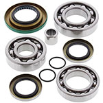 ALL BALLS DIFFERENTIAL BEARING & SEAL KIT