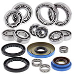 ALL BALLS DIFFERENTIAL BEARING & SEAL KIT