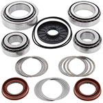 ALL BALLS DIFFERENTIAL BEARING & SEAL KIT