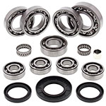 ALL BALLS DIFFERENTIAL BEARING & SEAL KIT