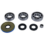 ALL BALLS DIFFERENTIAL BEARING & SEAL KIT