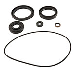 ALL BALLS DIFFERENTIAL SEAL KIT