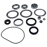 ALL BALLS DIFFERENTIAL BEARING & SEAL KIT