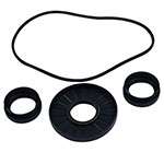 ALL BALLS DIFFERENTIAL SEAL KIT