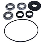 ALL BALLS DIFFERENTIAL BEARING & SEAL KIT
