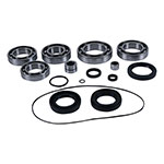 ALL BALLS DIFFERENTIAL BEARING & SEAL KIT