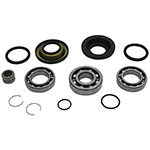ALL BALLS DIFFERENTIAL BEARING & SEAL KIT