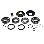 ALL BALLS DIFFERENTIAL BEARING & SEAL KIT