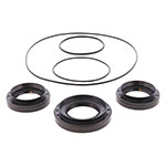 ALL BALLS DIFFRENTIAL SEAL KIT