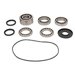 ALL BALLS DIFFERENTIAL BEARING AND SEAL KIT