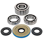 ALL BALLS DIFFERENTIAL BEARING AND SEAL KIT