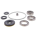 ALL BALLS DIFFERENTIAL BEARING AND SEAL KIT