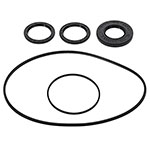 ALL BALLS DIFFRENTIAL SEAL KIT