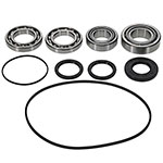 ALL BALLS DIFFERENTIAL BEARING AND SEAL KIT