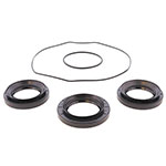 ALL BALLS DIFFERENTIAL BEARING AND SEAL KIT