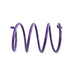 EPI SECONDARY DRIVEN SPRING