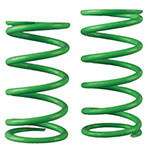 Venom Primary Clutch Spring