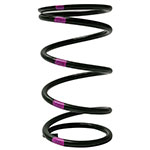 Venom Secondary Clutch Spring
