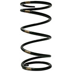 Venom Secondary Clutch Spring