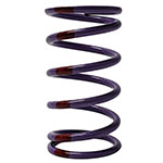 Venom Primary Clutch Spring