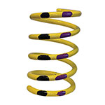 Venom Primary Clutch Spring
