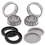 ALL BALLS SWING ARM BEARING & SEAL KIT