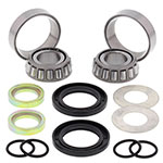 ALL BALLS SWING ARM BEARING & SEAL KIT