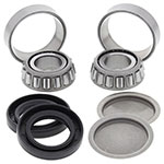 ALL BALLS SWING ARM BEARING & SEAL KIT