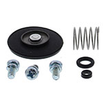 ALL BALLS ACCELERATOR PUMP REBUILD KIT