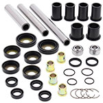 ALL BALLS REAR INDEPENDENT SUSPENSION KIT