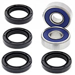 ALL BALLS A-ARM KIT