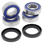 ALL BALLS REAR INDEPENDENT SUSPENSION KIT