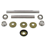ALL BALLS REAR INDEPENDENT SUSPENSION KNUCKLE KIT