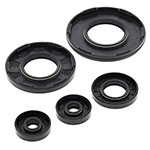 Vertex Engine Oil Seal Kit