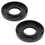 Vertex Engine Oil Seal Kit