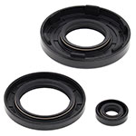 Vertex Engine Oil Seal Kit